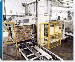 Carton Palletiser